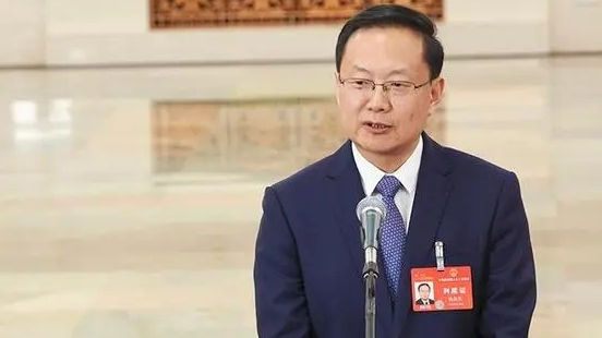 南宁：文旅部部长孙业礼：国务院成立专门的入境支付协调机制