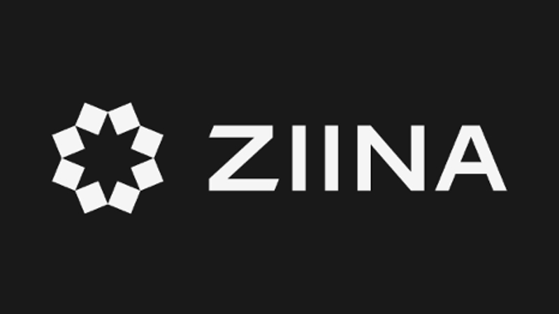 ：企业支付服务商Ziina完成2200万美元A轮融资